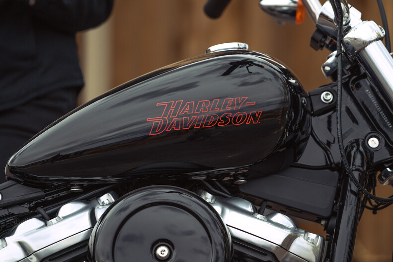 Adjustable Rear Mono Shock