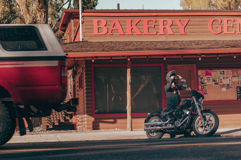 Milwaukee-Eight® 107 Engine