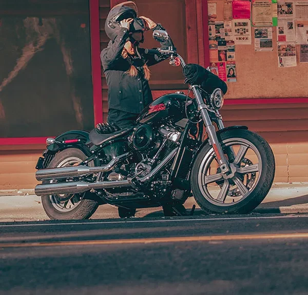 Softail® Standard