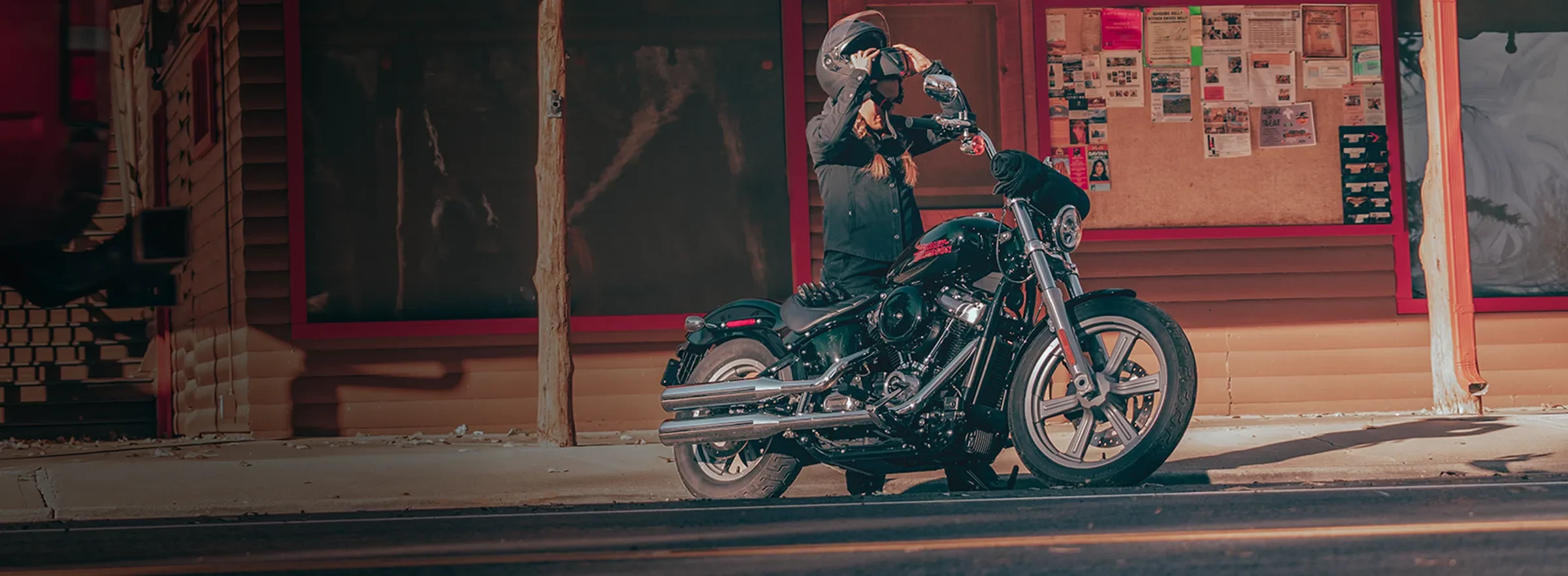 Softail® Standard