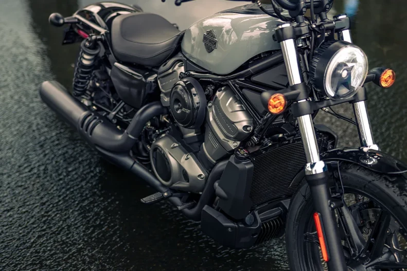 Exposed Dual Rear Shocks